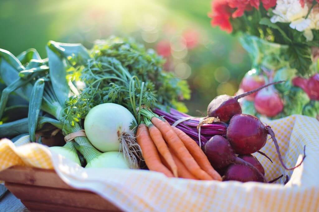 garden vegetables in basket