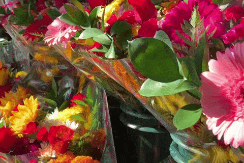 Video of fresh flowers so vivid with lasik surgery
