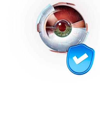 Retina