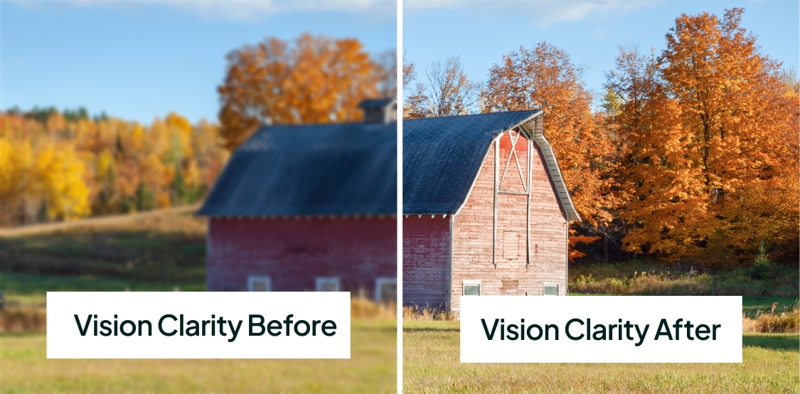 vision before after