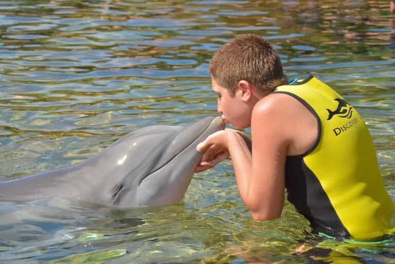 boy with dolphin