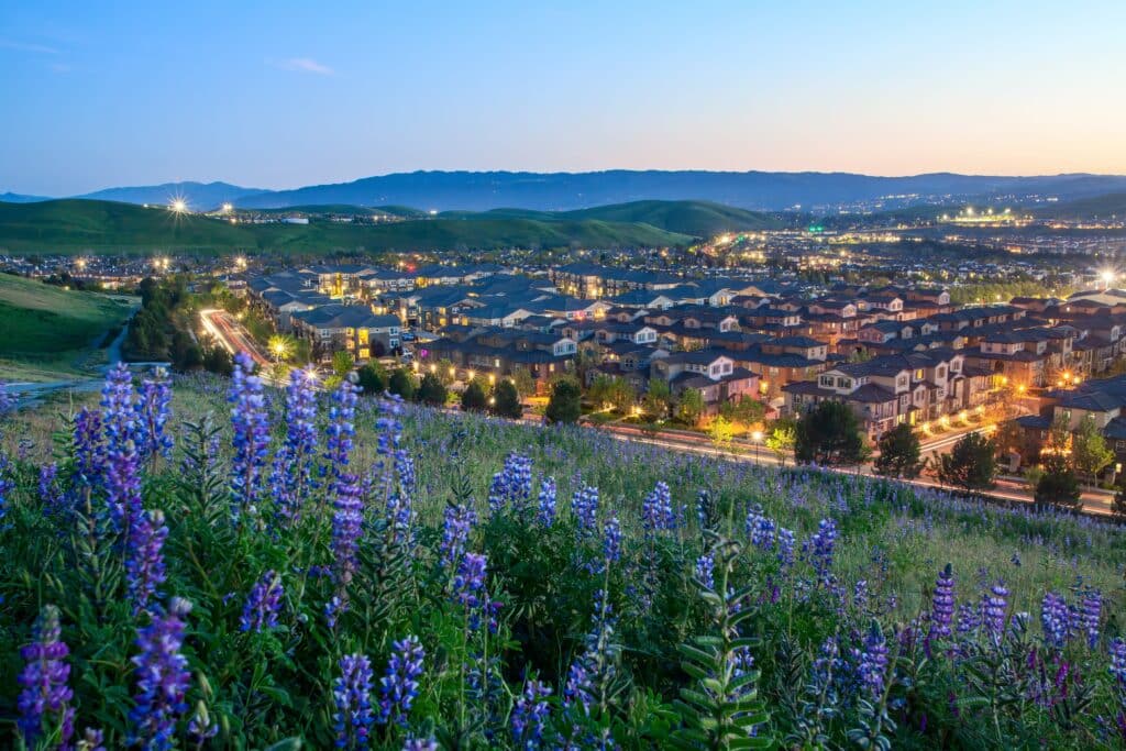 San Ramon landscape